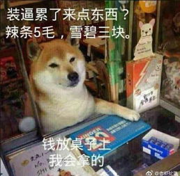 翔9表示无语