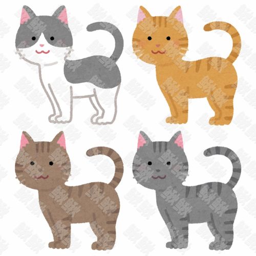 灰棕橘猫色各种颜色侧面照的小猫猫咪手绘卡通插画手绘png儿童插画免扣素材1阿猫阿狗