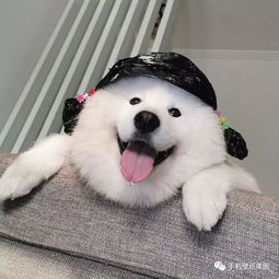 抖音比较火的头像,渣男头像高清图片