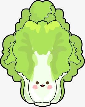 蔬菜大白菜素材