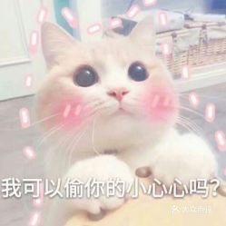 电话,地址,价格,营业时间郴州宠物