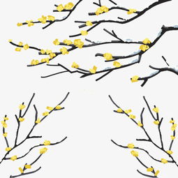 冬天雪花黄色树枝花朵图片素材其他格式下载动漫人物大全