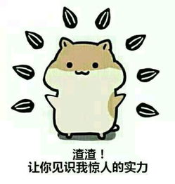 这图片里的小仓鼠叫什么名字有没有更多的图片,最好没有文字的