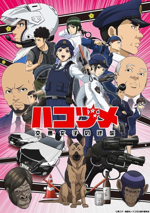 2022年1月番剧评分状况