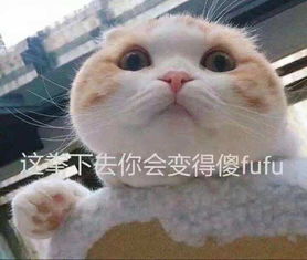 脑洞如果世界上有另一个你,而且还比你牛啤