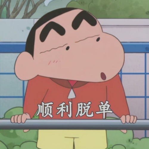 给点阳光就灿烂的乐天派星座