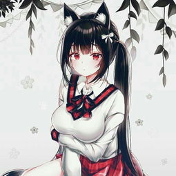 求图