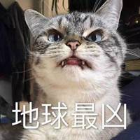 动画猫躲着看的头像女生微信头像图片大全