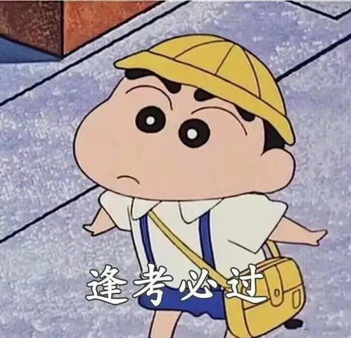 你好,乘风破浪的期末考试人