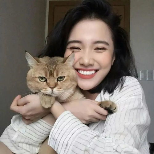 抱猫咪头像太赞了