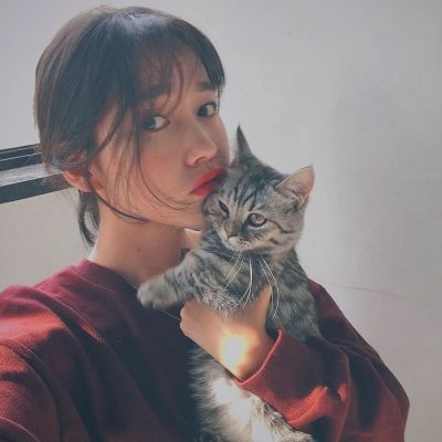 qq萌头像萌头像男生女生超萌头像卡通腾牛个性网