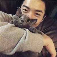 男女抱猫黑白爱人头像