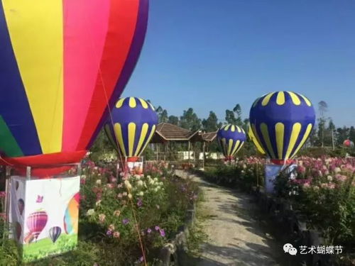 惊爆柳州鹿寨县惊现神秘百万格桑花海10万红包及免费门票大派送