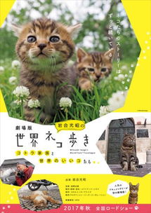 岩合叔叔公开吸猫猫步走世界剧场版今秋上映