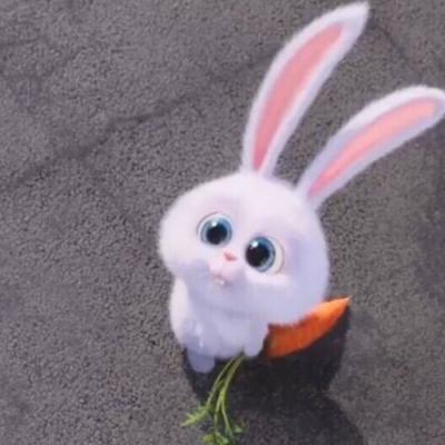 超萌可爱爱宠大机密兔子头像图片