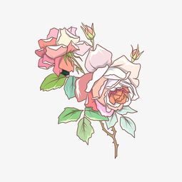 卡通可爱小清新手绘风花卉插画图片素材其他格式下载动漫人物大全