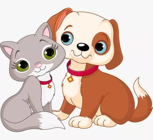 金龟子讲睡前故事吵架的小猫和小狗