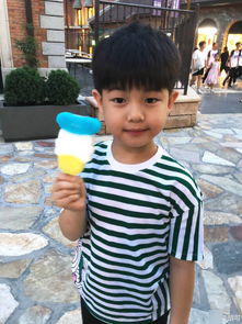 胡可晒带儿子游玩迪士尼照片安吉小鱼儿呆萌十足