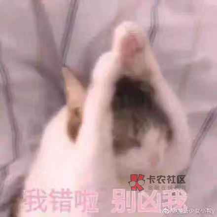 真是感叹卡农某些老哥的素质傻子都看得出来文字粘贴复制的看不懂吗支付分的帖子是