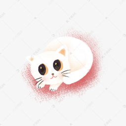 可爱白色小猫咪卡通png素材图片免费下载高清psd千库网图片编号11865149