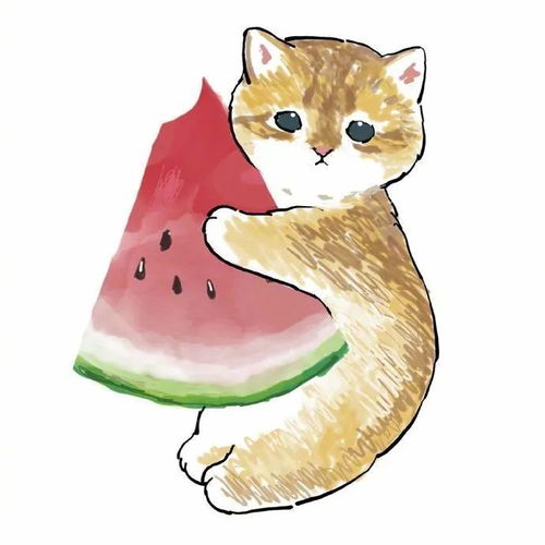 小猫咪消夏日常插画,怎么看起来都不开心