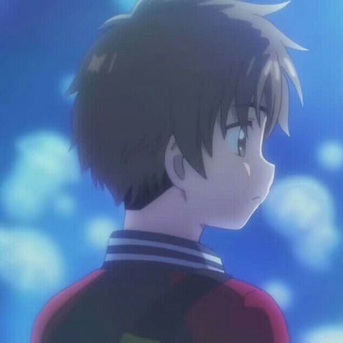 有情头吗,关于魔卡少女樱