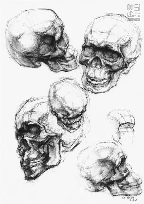 中国美院素描头像半身像作品精选,太厉害了