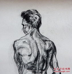 郑州美院男子人体背面人物素描手稿画稿