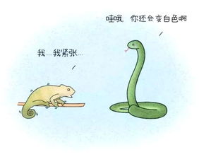 恶搞漫画男生喜欢什么性格的女生
