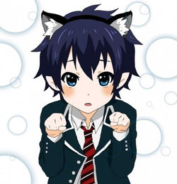猫耳动漫男头像