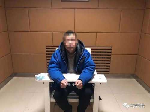 松原男子通过陌陌冒充美女,诈骗9000元后主动投案