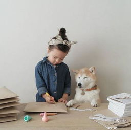 小女孩和柴犬,萌化了好想生个女儿再养只狗狗
