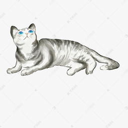 卡通灰色的猫咪免扣图素材图片免费下载千库网