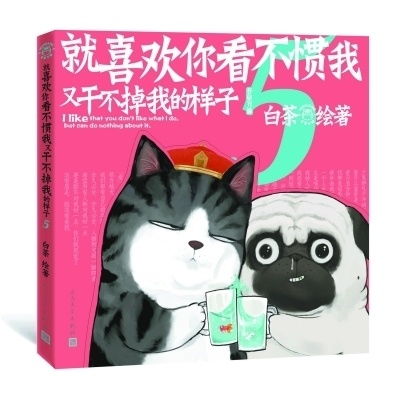 吾皇又驾到,这回是更成熟的猫咪了