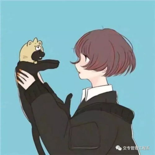 会说话