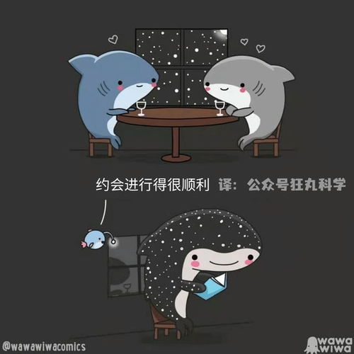 小鲨鱼和朋友们的温馨日常,海洋主题治愈漫画集