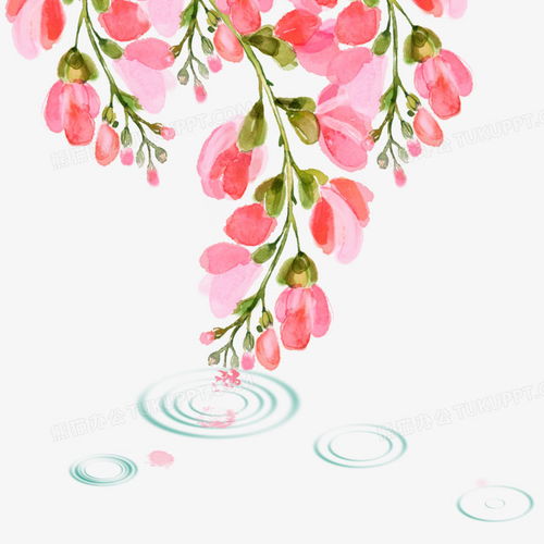 中国风水彩春天水边的花朵png图片素材免费下载花朵png20002000像素