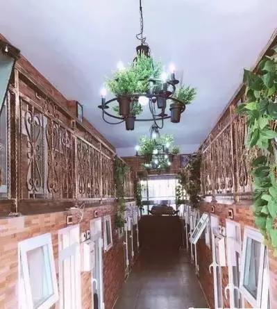 扬州开首家宠物酒店24小时监控配备地暖和新风24h宠物情报