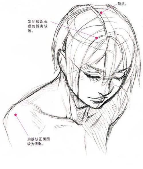 动漫人物怎么画俯视和仰视的图