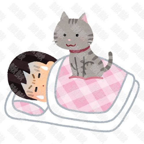 晚上睡觉喜欢躺在主人女被窝上压着主人的小猫猫咪手绘卡通插画手绘png儿童插画免扣素材1阿猫阿狗