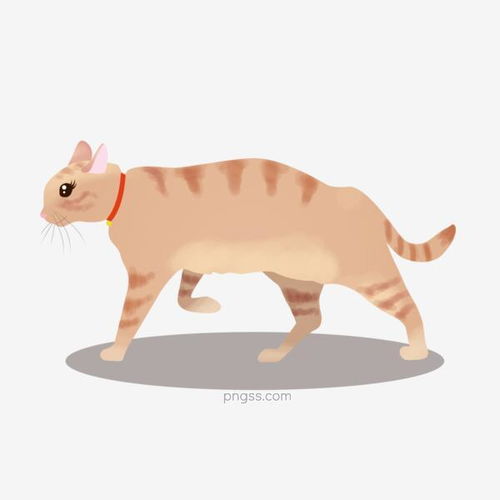 矢量手绘卡通猫咪图片大小2000x2000px图片尺寸445.01kb来自png搜索网pngss.com免费免扣png素材下载动物卡通表情包卡通猫咪卡通手绘龙猫猫咪表情包猫头手绘动物手绘猫咪手绘小猫小猫咪