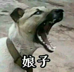 请问这是情侣头像么