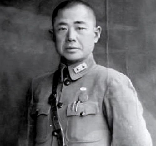 49年朱老总拜访陈明仁,进门前朱老总敬军礼高喊报告,我是朱德
