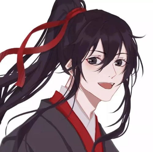 魔道祖师动漫头像魏无羡蓝忘机