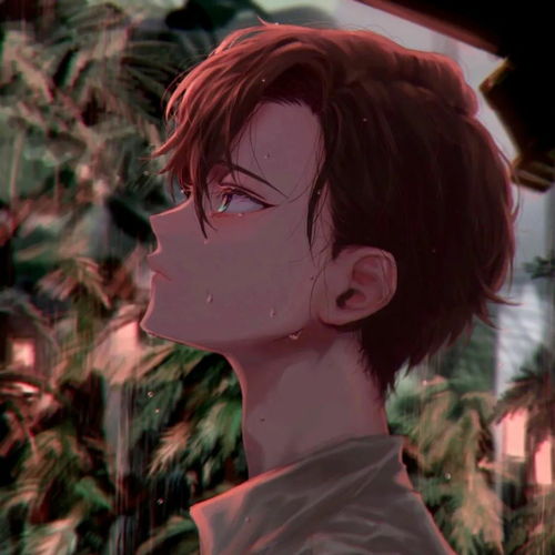 没有几百星不好意思用的动漫头像