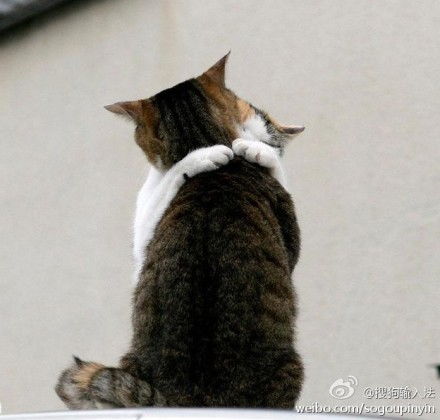 额