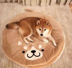 柴犬宠物界的戏精比二哈演技还要高主人每天看它演戏好累哦