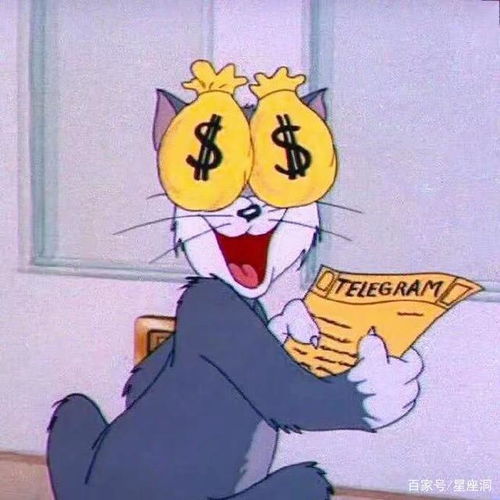 认真生活,不轻易认输的三大星座