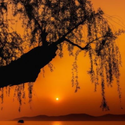夕阳微信头像