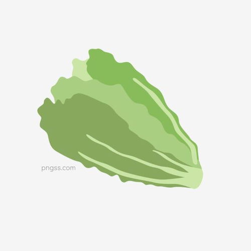处暑夏季蔬果蔬菜大白菜图标图片大小2000x2000px图片尺寸78.44kb来自png搜索网pngss.com免费免扣png素材下载卡通图标矢量图手绘图标蔬菜蔬果图形野菜